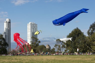 XV Uçurtma Festivali Rosario