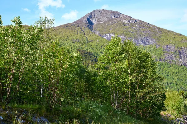 Hory v Norsku — Stock fotografie