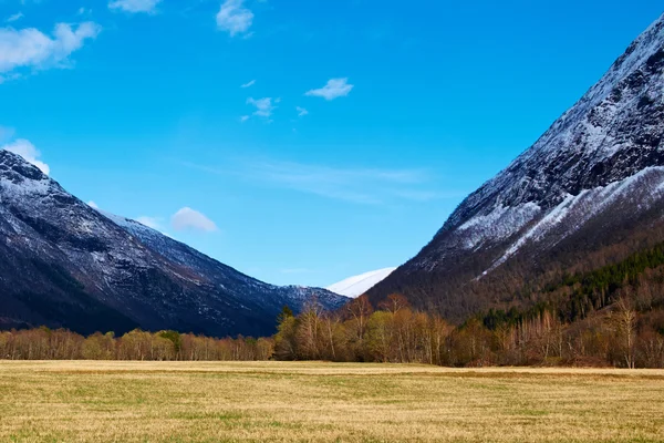Blick auf die Berge in Norwegen — Stockfoto