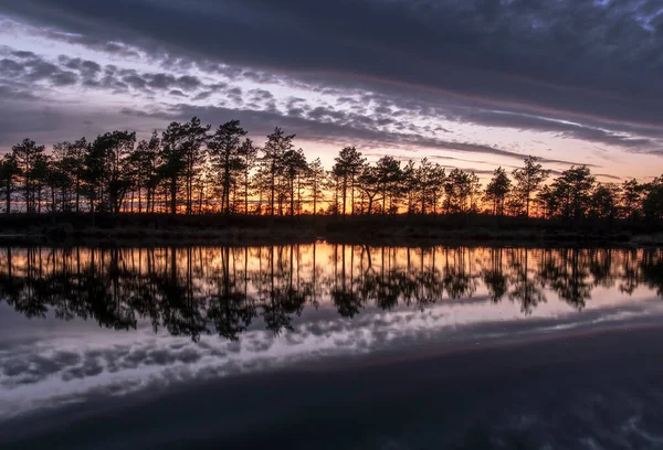 Úchvatně Krásný Výhled Večerní Oblohu Nad Lesním Jezerem — Stock fotografie