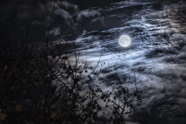 Μυστηριώδης Νυχτερινός Ουρανός Και Πανσέληνος — Φωτογραφία Αρχείου