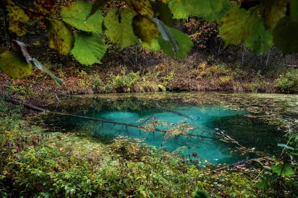 Krásná Jezera Estonsku Siniallikad — Stock fotografie