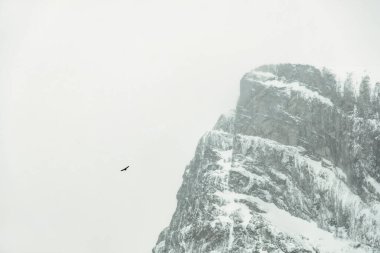 Norveç 'in şaşırtıcı güzellikteki kış manzarası