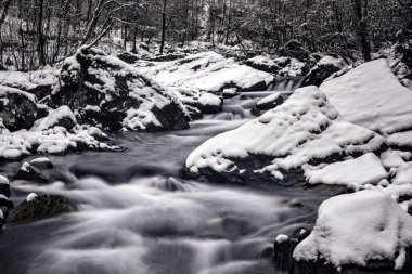 Norveç 'in şaşırtıcı güzellikteki kış manzarası