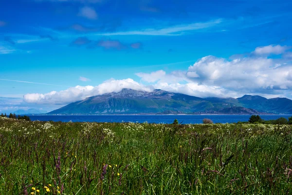 Meadow in norway — Stock Photo, Image