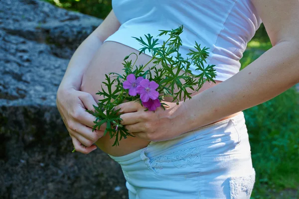 Těhotenství — Stock fotografie