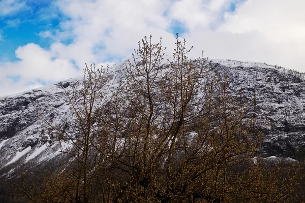 Горы в stordal. norway — стоковое фото