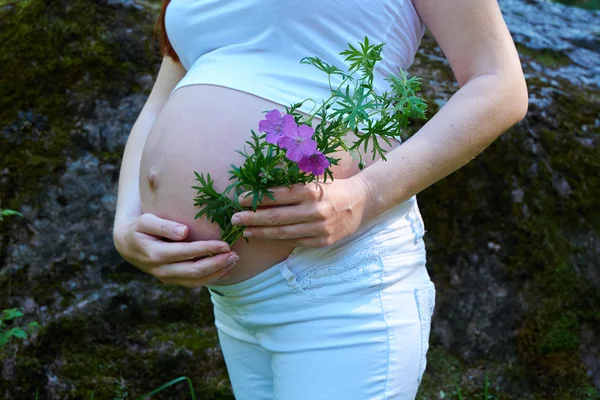 Těhotenství — Stock fotografie