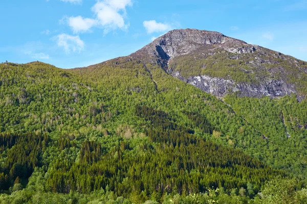 Hory v Norsku — Stock fotografie