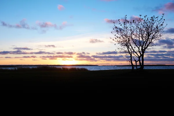 Autumn sunset in estonia — Stock Photo, Image