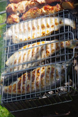 Domuz ve Trout piknikte barbekü yapıyor.