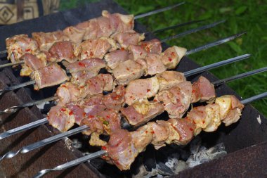 Piknikte domuz barbeküsü.