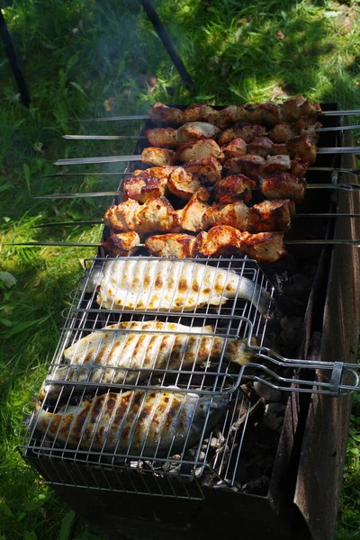 Barbacoa Cerdo Trucha Picnic —  Fotos de Stock