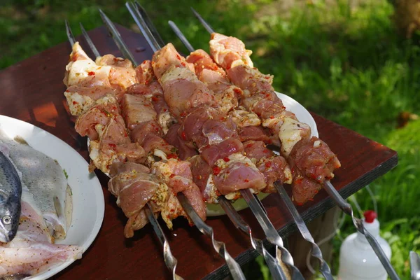 Barbacoa Cerdo Picnic —  Fotos de Stock