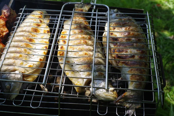 Trout barbecue on a picnic — Stock Image Trout Barbecue Picnic Stock Image