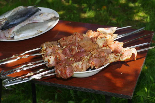 Pork and Trout barbecue on a picnic — Stock Image Pork Trout Barbecue Picnic Stock Image