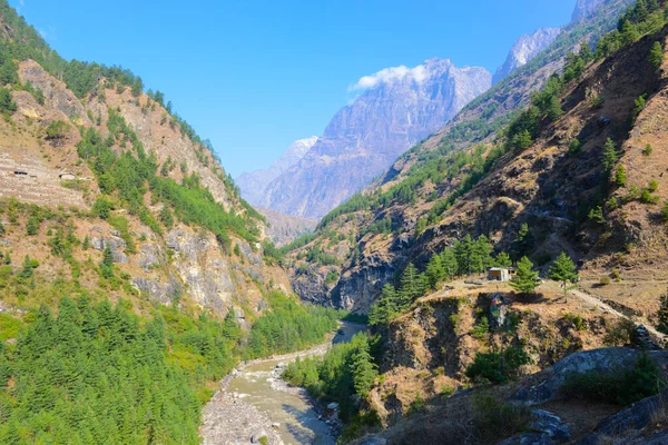 Bellissimo Fiume Dell Himalaya Trekking Intorno Manaslu — Foto Stock