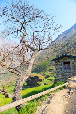 Nepal 'deki köy. Manaslu çevresindeki yürüyüş