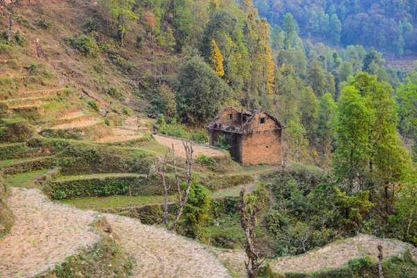 Terrasser Risfält Och Terrasser Risfält Och Övergivna Katmandu Bondens Hus — Stockfoto