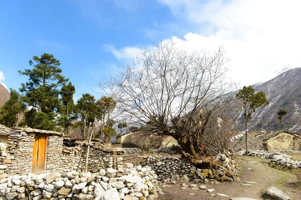 Edificios Piedra Pueblo Las Montañas Del Himalaya Nepal —  Fotos de Stock