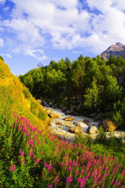 Elbrus bölgesinde yüksek bir dağ geçidinde Adyl Nehri