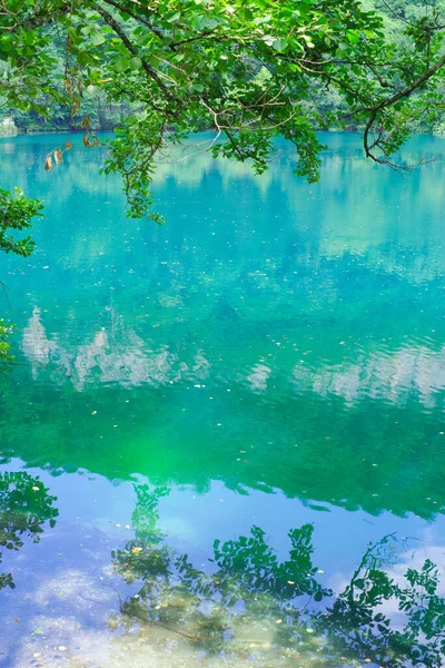 Μπλε Λίμνη Chirik Kel Και Κλαδιά Δέντρων Στο Φαράγγι Cherek Εικόνα Αρχείου