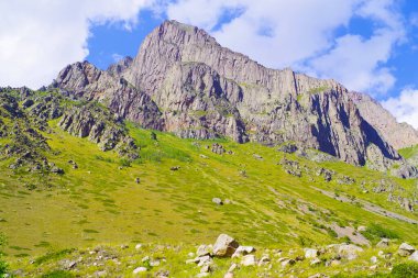Kimya vadisinin yeşil tepelerindeki kayalar