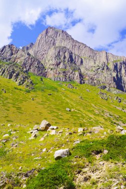 Kimya vadisinin yeşil tepelerindeki kayalar