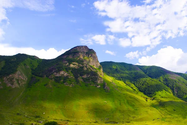 Grüne Schlucht Des Cherek Bezengi Flusses Der Nähe Des Dorfes — Stockfoto