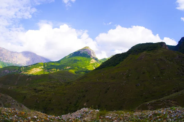 Groene Kloof Van Cherek Bezengi Rivier Bij Het Dorp Bezengi — Stockfoto