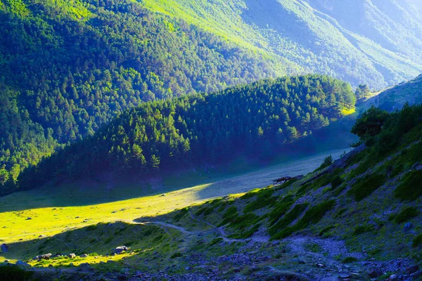 Vista Desfiladeiro Chegem Cachoeira Abai Imagens De Bancos De Imagens