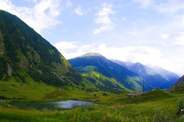 Groene Kloof Van Cherek Bezengi Rivier Bij Het Dorp Bezengi — Stockfoto