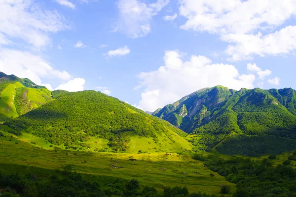 Garganta Verde Del Río Cherek Bezengi Cerca Del Pueblo Bezengi —  Fotos de Stock