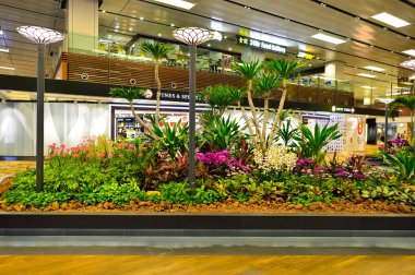 Singapur changi Havaalanı