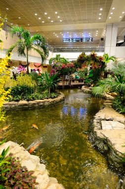 Singapur changi Havaalanı