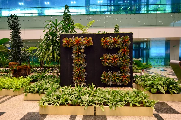 Changi Havalimanı İç 