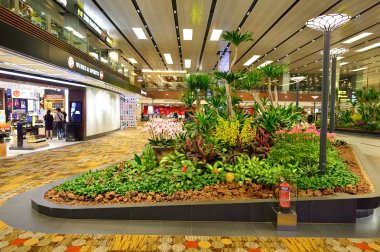 Singapur changi Havaalanı