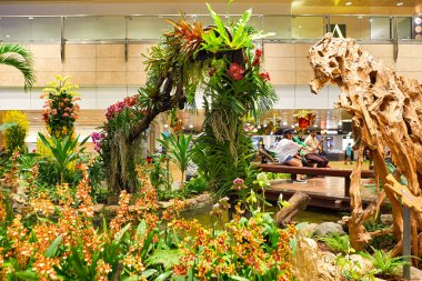 Singapur changi Havaalanı