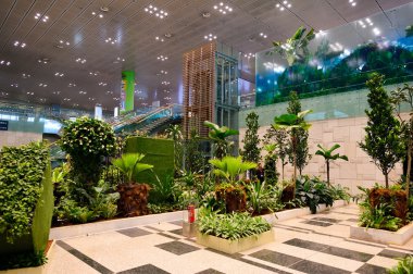 Changi Havalimanı İç 