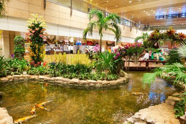 Singapur changi Havaalanı