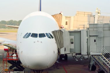 Airbus A380 Changi Airport adlı demirledi 
