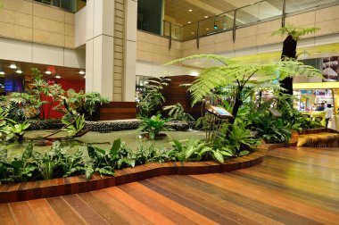 Singapur changi Havaalanı