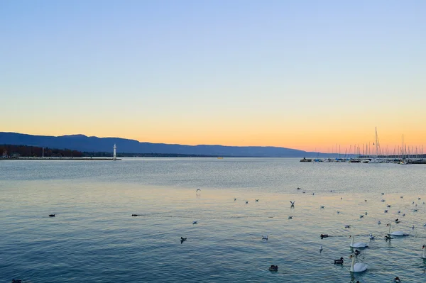 Lago de Ginebra por la noche — Foto de Stock