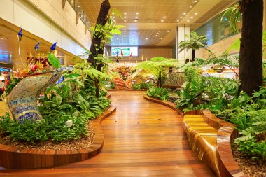 Singapur changi Havaalanı