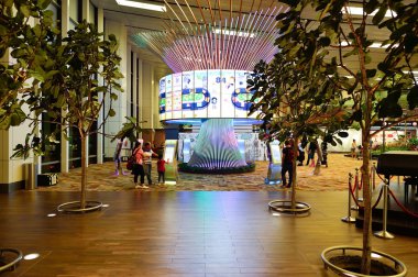 Changi Havaalanı'nda sosyal ağaç 
