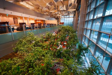 Singapur changi Havaalanı