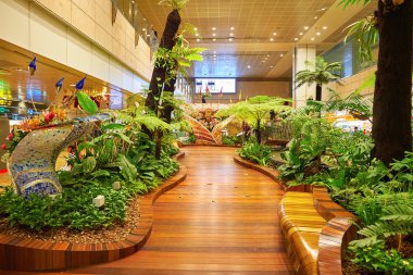 Singapur changi Havaalanı