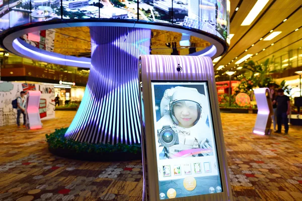 Sociala träd på Changi Airport — Stockfoto