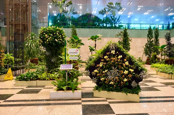 Changi Havalimanı İç 