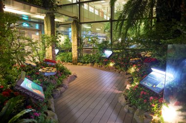 Changi Havalimanı İç